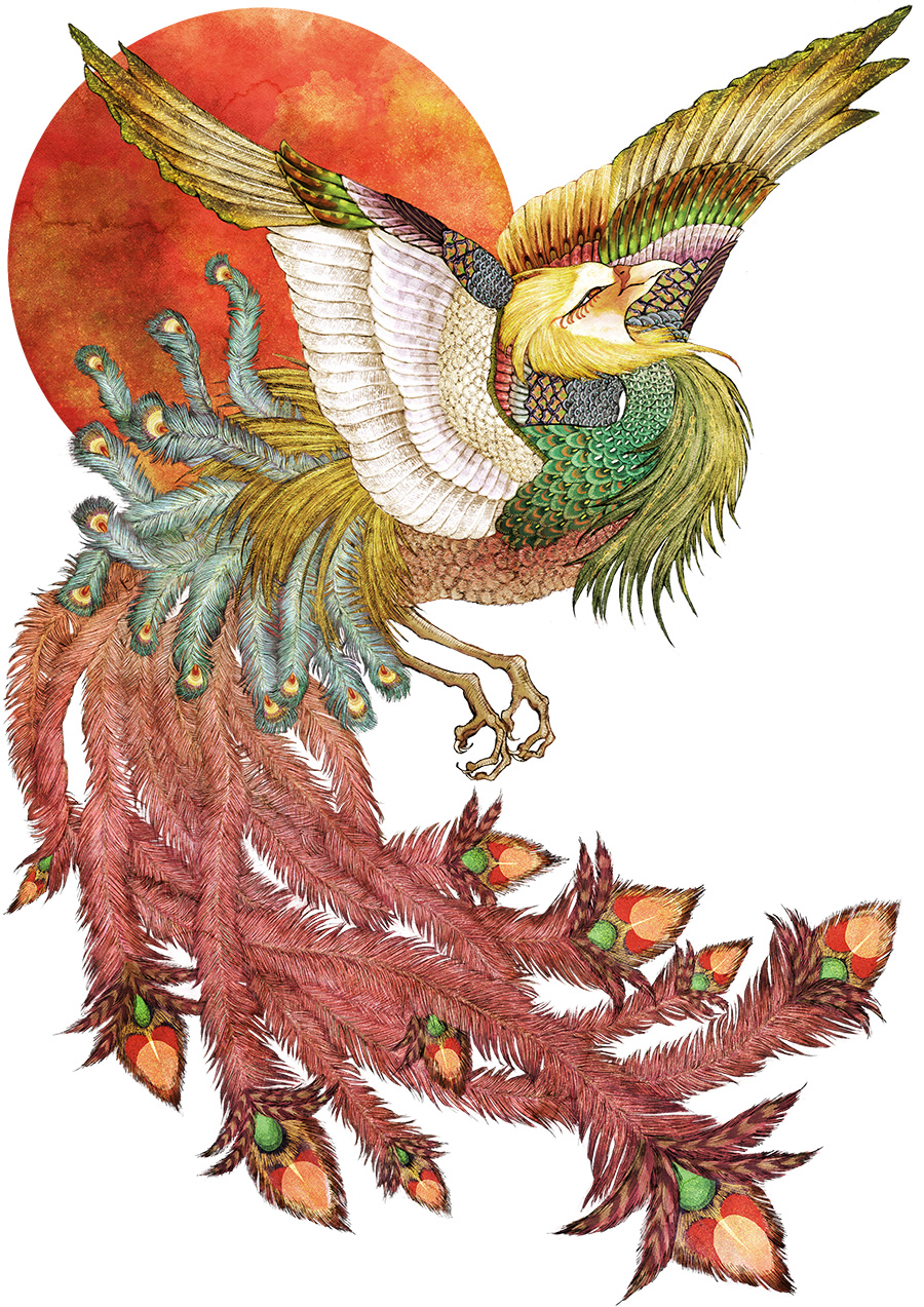 パッケージデザインイラストレーター　鳳凰イラストレーター　フェニックス　日本画イラストレーター　和風イラストレイター　鳥イラストレーター