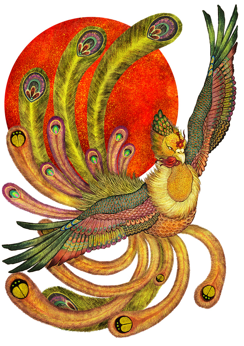 パッケージデザインイラストレーター　鳳凰イラストレーター　フェニックス　日本画イラストレーター　和風イラストレイター　鳥イラストレーター
